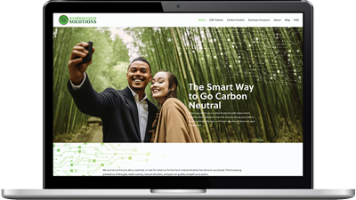 Bamboo Gold Solutions Small business web design